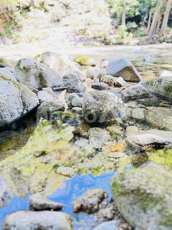 新宮市　高田川　清流 新宮市高田,高田川,河川敷の写真素材