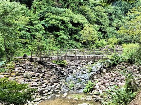 渓流に架かる古い木の橋 渓流,せせらぎ,自然の写真素材