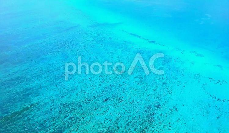 オーストラリア　グレートバリアリーフ オーストラリア,グレートバリアリーフ,海の写真素材