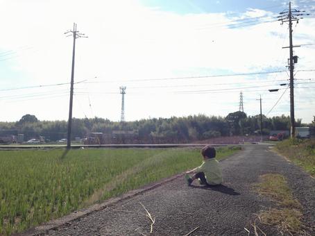 田んぼ道に座る男の子 田んぼ道に座る男の子 男の子,子供,幼児の写真素材