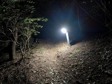 夜の街頭 夜の街頭の写真
