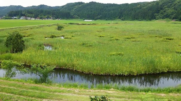 加田喜沼湿原 加田喜沼湿原,湿地,沼の写真素材