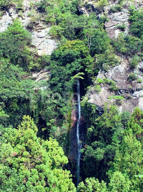山の中から流れる小さな滝 崖,滝,春の写真素材