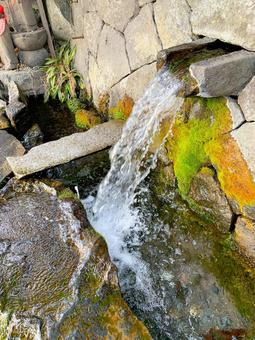 Photo, spring, clear water of benten, komoro, 