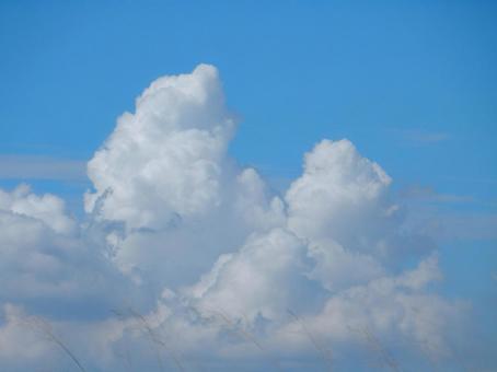 【空の写真】夏空 【空の写真】夏空の写真