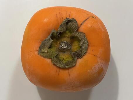 柿 柿,かき,果物の写真素材