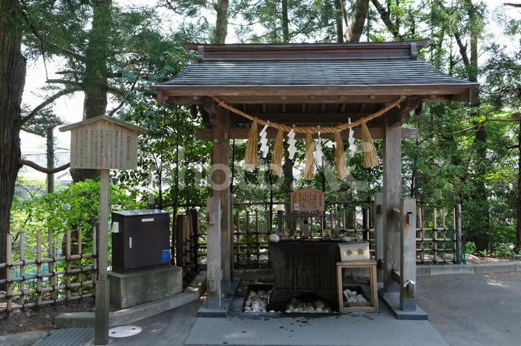 大崎八幡宮の手洗い場　清め水 大崎八幡宮,参道,境内の写真素材