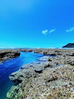 奄美の珊瑚礁 奄美の珊瑚礁 海,風景,オーシャンブルーの写真素材