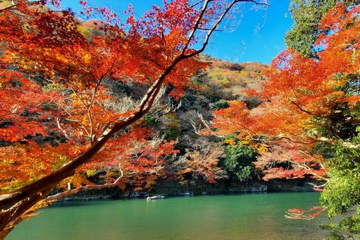 京都 嵐山の紅葉 京都 嵐山の紅葉の写真