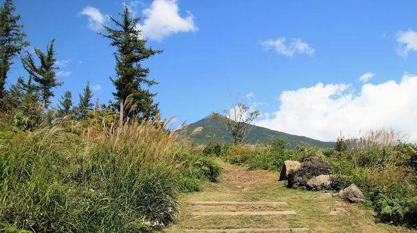 初秋　富士見高原のススキと編笠山 ススキ,富士見高原,編笠山の写真素材
