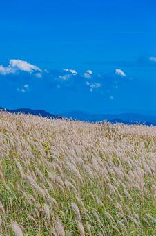 四国地方　四国カルスト台地の風景 カルスト台地,四国,四国地方の写真素材