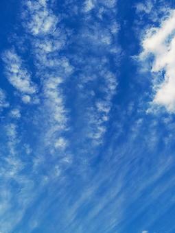 7月の青空と雲2 7月の青空と雲2の写真