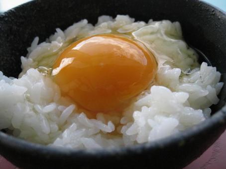 たまご 卵 タマゴ 黄身 たまご 卵 タマゴ 黄身 たまご,卵,タマゴの写真素材