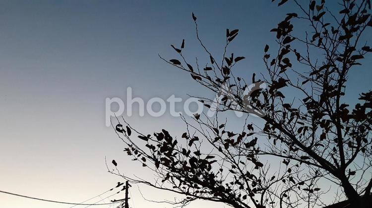 町の夕暮れ・２ 夕方,夕焼け,晴れの写真素材