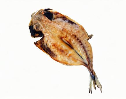 鯵の開き 鯵の開き,鯵,魚の写真素材