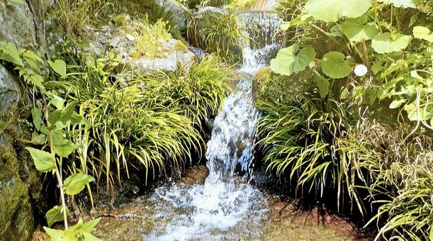 Image of landscape, JPG