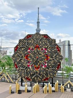 スカイツリーと竹あかり　昼間 繁華街,竹あかり,ネオンの写真素材