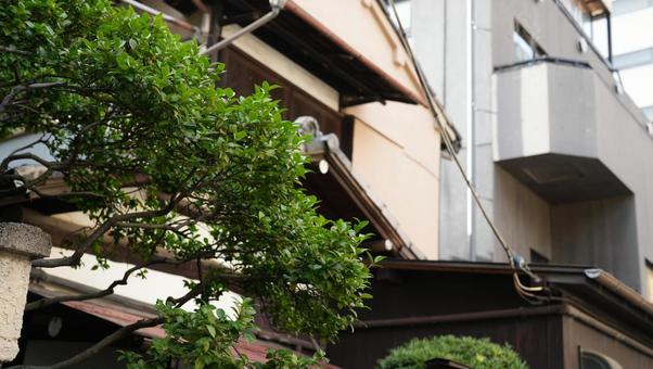神楽坂の古民家 神楽坂の古民家の写真