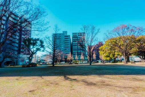 【熊本】白川公園 【熊本】白川公園の写真