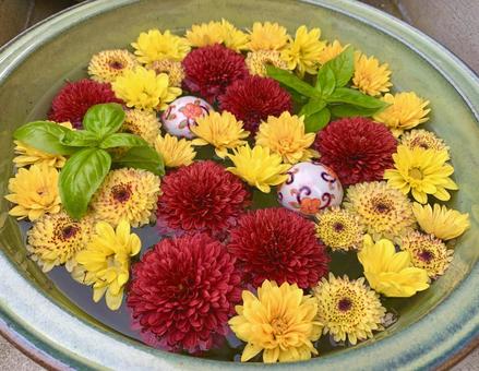 色鮮やかな花手水11 花手水,はなちょうず,手水舎の写真素材