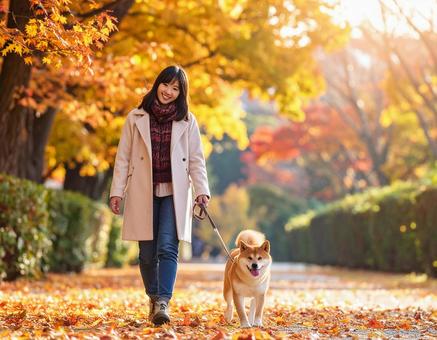 秋・紅葉・柴犬と散歩する彼女の写真
