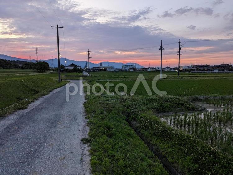 田んぼ道の夕景 夕焼け,田んぼ,夕日の写真素材