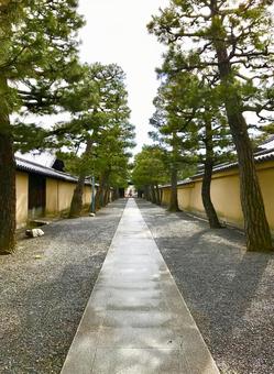 参道 自然,並木,風景の写真素材