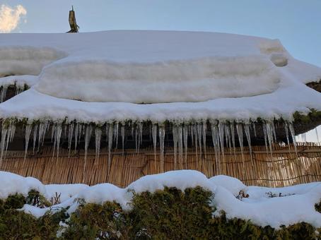 茅葺き屋根の氷柱 茅葺き屋根の氷柱 茅葺き屋根,氷柱,雪の写真素材