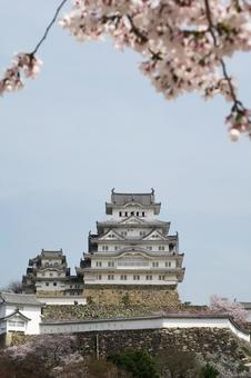 Photo, himeji castle, cherry blossoms, world heritage, 