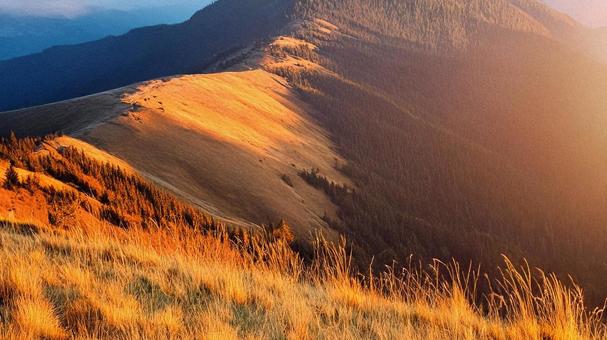 草原-0001の写真