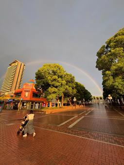 虹 虹 夕焼け,風景,空の写真素材