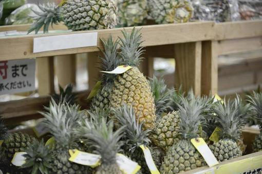 パイナップル パイナップルの写真