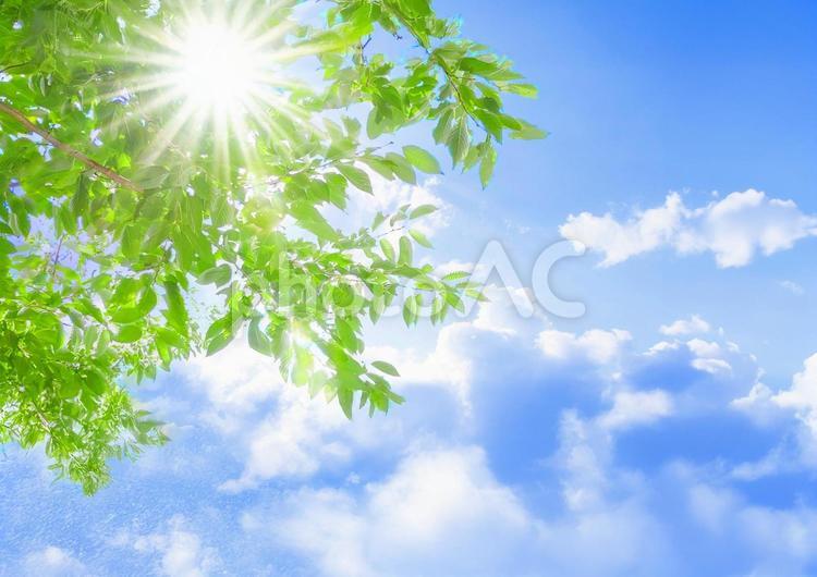 暑い夏のイメージ 夏,盛夏,猛暑の写真素材