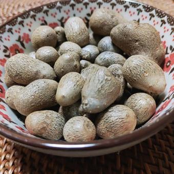 むかご１ 零余子,ムカゴ,山芋の写真素材