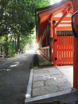 下鴨神社と緑 京都,下鴨神社,朱塗りの写真素材