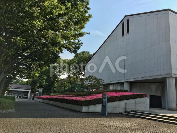 府中郷土の森博物館 府中郷土の森博物館,府中,郷土の森の写真素材