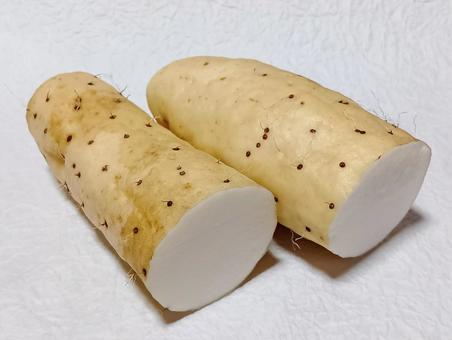 大和芋 大和芋,ヤマトイモ,山芋の写真素材