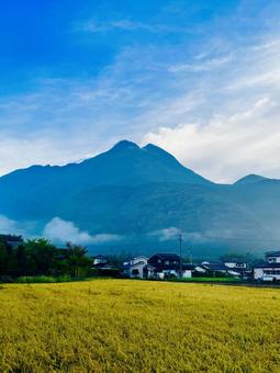 湯布院の朝霧 湯布院の朝霧 旅,由布岳,ゆふいんの写真素材