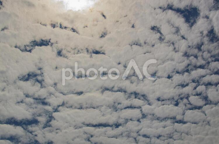 テクスチャ　背景　雲がたくさん出た空 テクスチャ,白,雲の写真素材