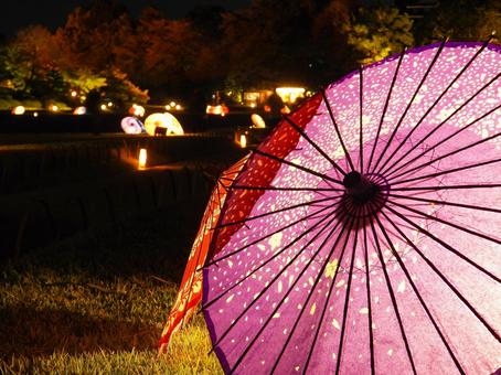 岡山後楽園のライトアップされた和傘 岡山後楽園のライトアップされた和傘の写真