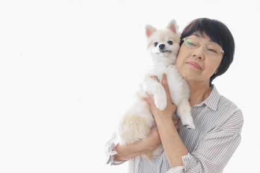 犬を買うシニア女性 犬を買うシニア女性 未亡人,高齢者,健康管理の写真素材
