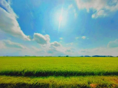 昔みたい…2025.8月中旬の栃木の風景 昔みたい…2025.8月中旬の栃木の風景の写真