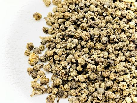 生薬・呉茱萸 参 生薬・呉茱萸 参 呉茱萸,ゴシュユ,カラハジカミの写真素材