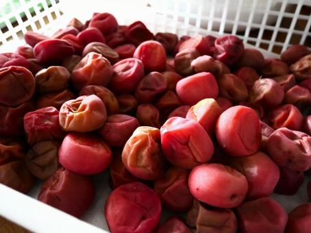 Photo, salted plum, handmade, plum work, 