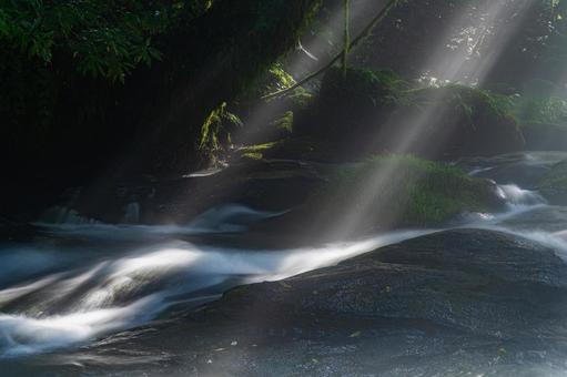 熊本-【菊池渓谷の光芒】 熊本,菊池渓谷,川の写真素材