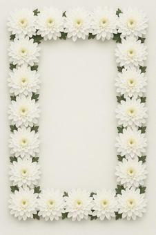 菊の花のフレームの写真