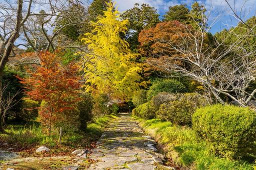 勝楽山高蔵寺阿弥陀堂⑴ 秋,紅葉,勝楽山高蔵寺阿弥陀堂の写真素材