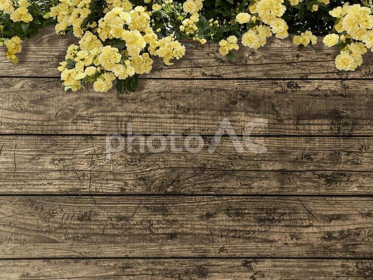 背景素材　ブラウンの木目に黄色のバラ 木目,花,春の写真素材