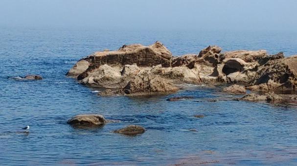 越前の海 越前の海 日本海,越前,海の写真素材
