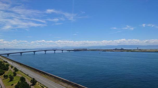 夏の海 夏の海の写真